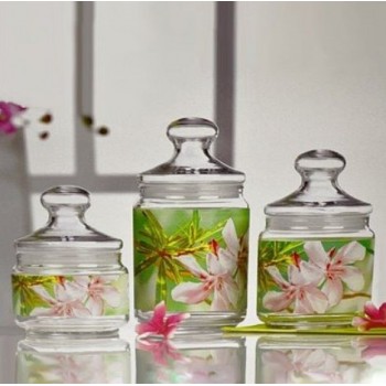 Набор банок Luminarc Club Freesia