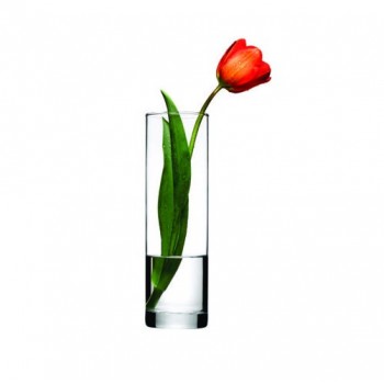 Ваза Pasabahce Botanica 43767 Ваза Pasabahce Botanica 43767
