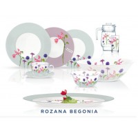Сервіз Luminarc Rosana Begonia N2143 46 предметів