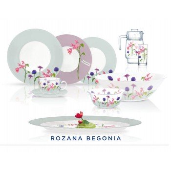 Сервіз Luminarc Rosana Begonia N2143 46 предметів
